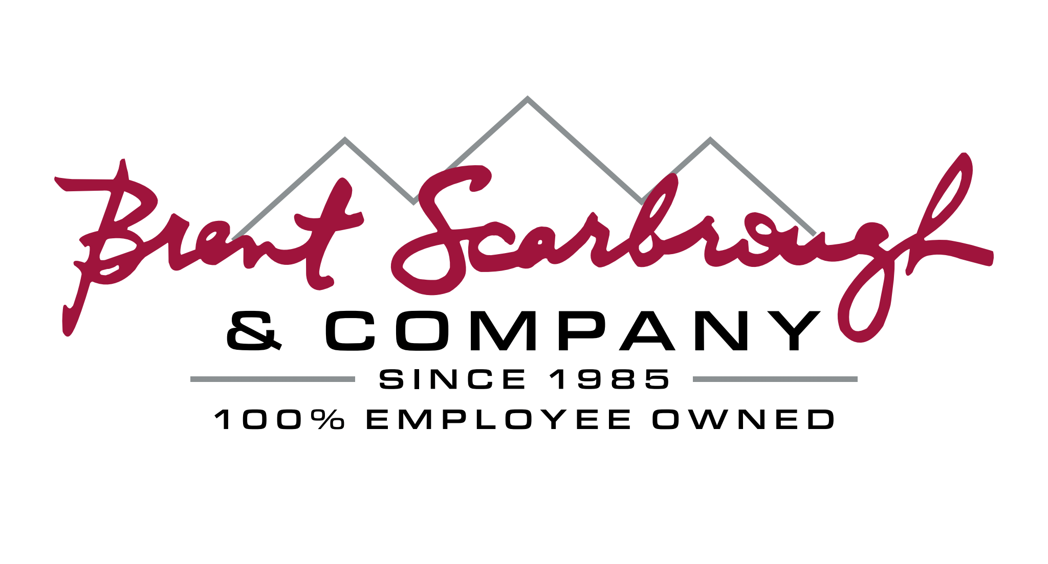 BSC Logo